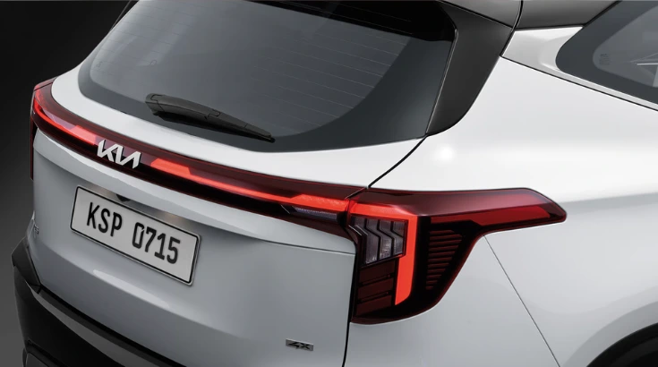 تمويل سيلتوس 2026